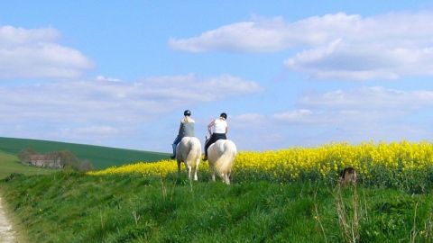 Randonnée à cheval en Ardèche.