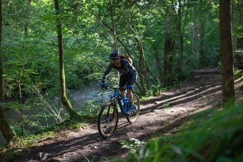 VTT dans les bois